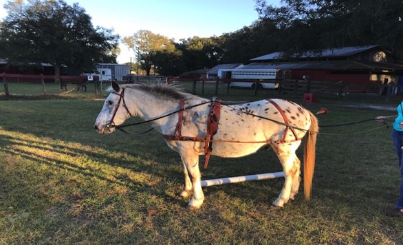 RMS Ranch, LLC